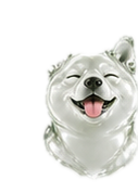 Shibapons smiling
